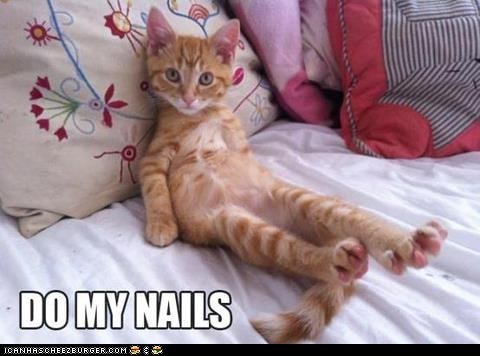 pedicure... yes puh-lease! 