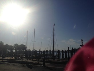 I'll work on taking pics with my iphone... I see a pattern here. 